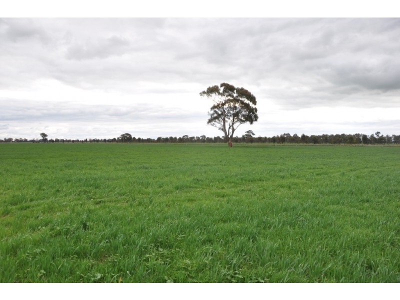59 Lane Rd, Katandra VIC 3634