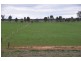 59 Lane Rd, Katandra VIC 3634