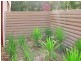 Botany NSW 2019