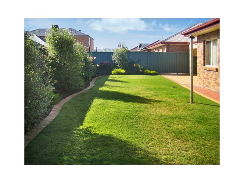 Mawson Lakes SA 5095