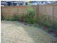 Thornleigh NSW 2120