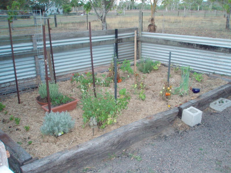 Black River QLD 4818