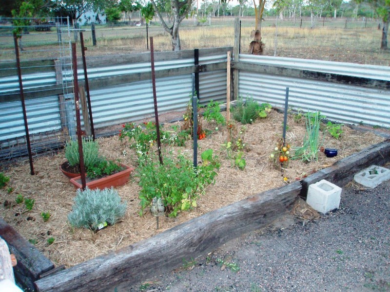 111 Black River Road, Black River QLD 4818