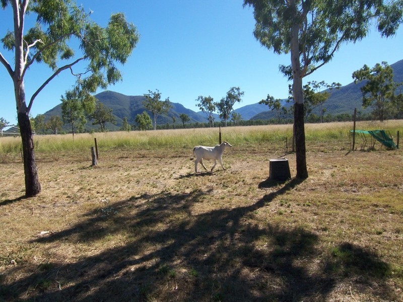 2434 Woodstock Giru Road, Majors Creek QLD 4816