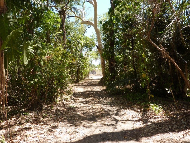 50 Forestry Road, Bluewater QLD 4818