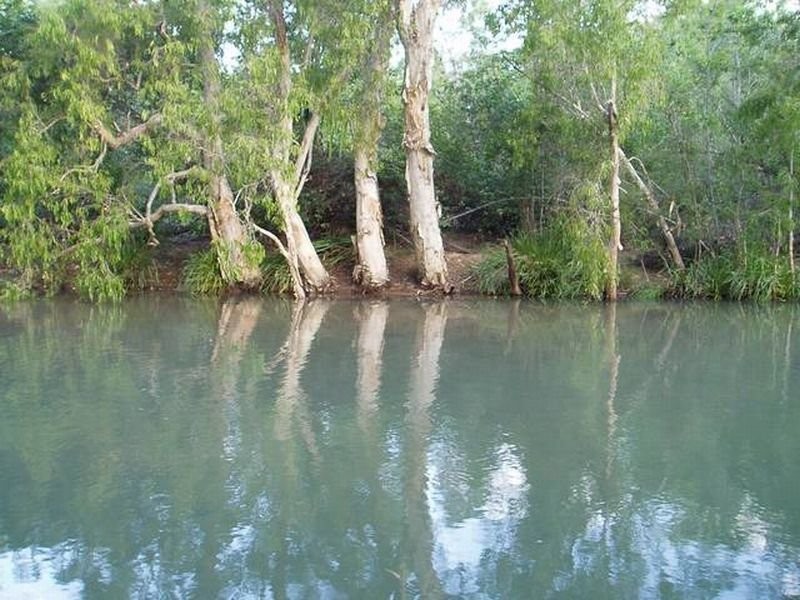 350 Forestry Road, Bluewater QLD 4818