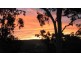 Lot 5, 313-325 Williams Rd, Alligator Creek QLD 4816