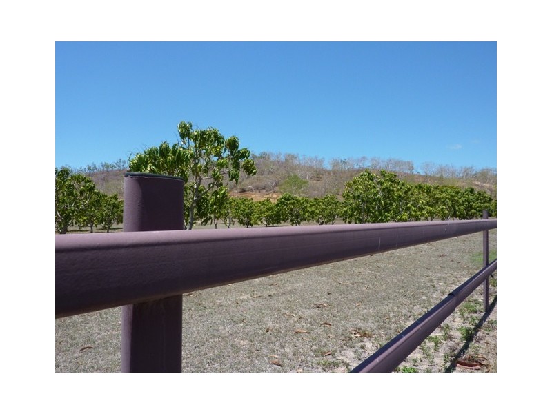 Lot 5, 313-325 Williams Rd, Alligator Creek QLD 4816