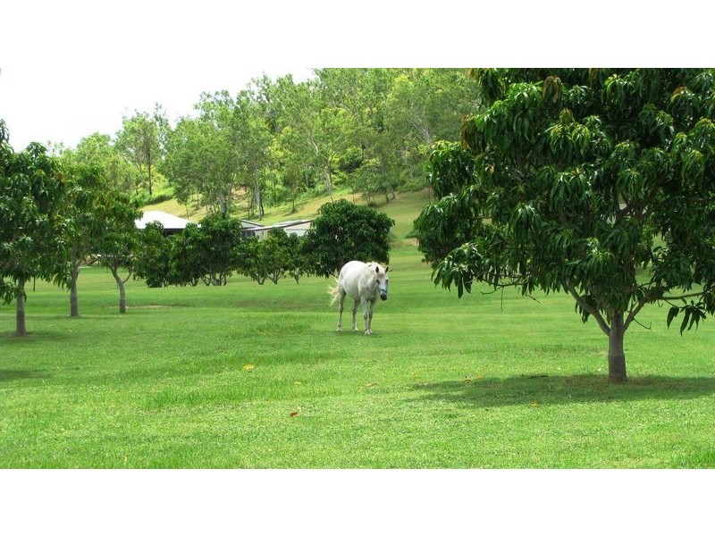 Alligator Creek QLD 4816