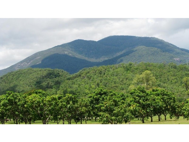 Alligator Creek QLD 4816