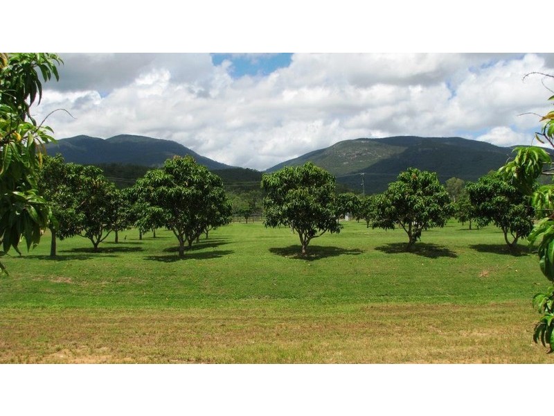 Alligator Creek QLD 4816