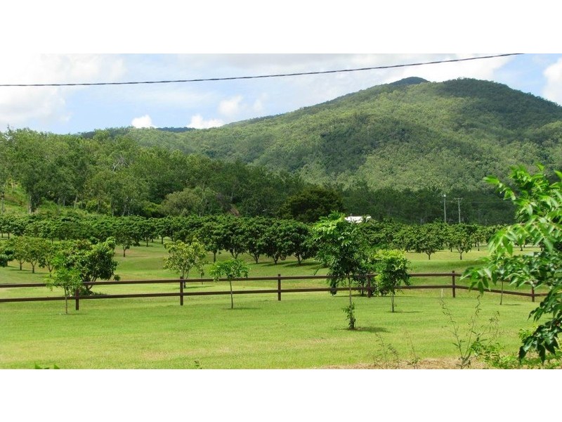 Alligator Creek QLD 4816