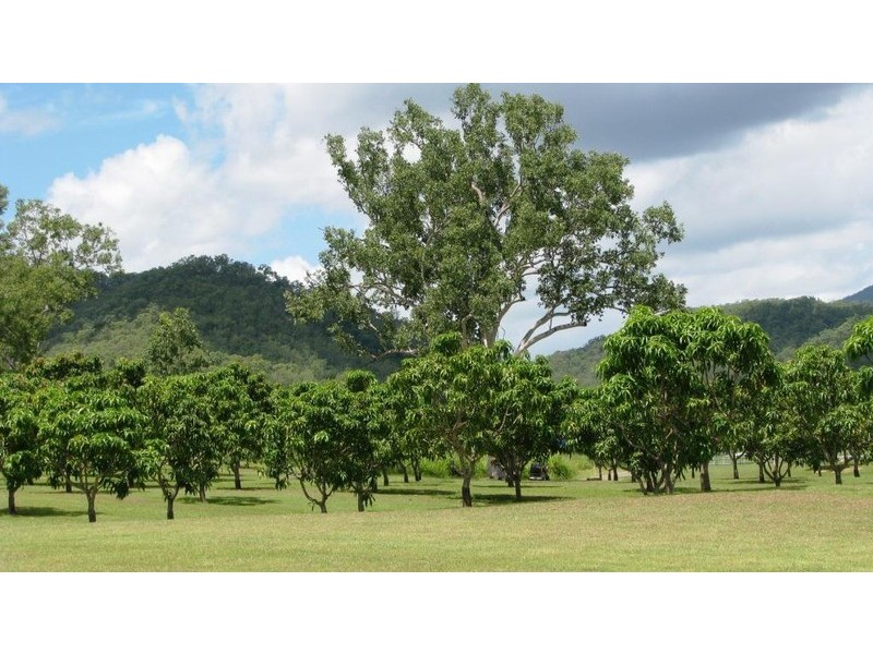 Alligator Creek QLD 4816