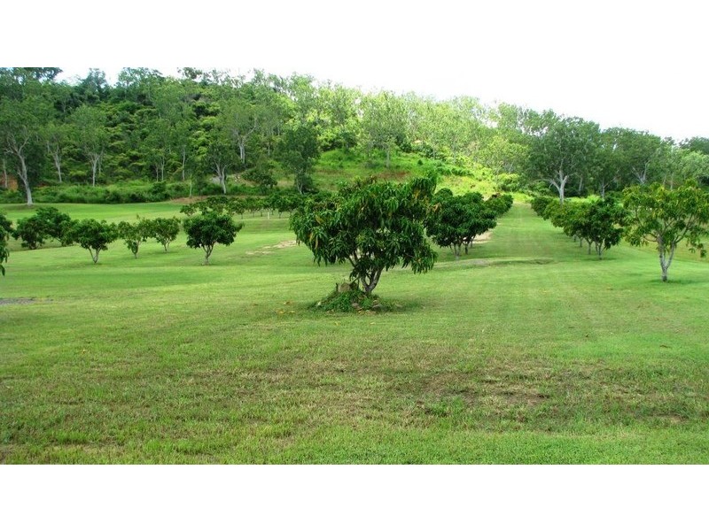 Alligator Creek QLD 4816