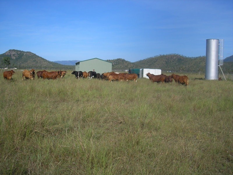 2/2 Round Mountain Road, Kelso QLD 4815