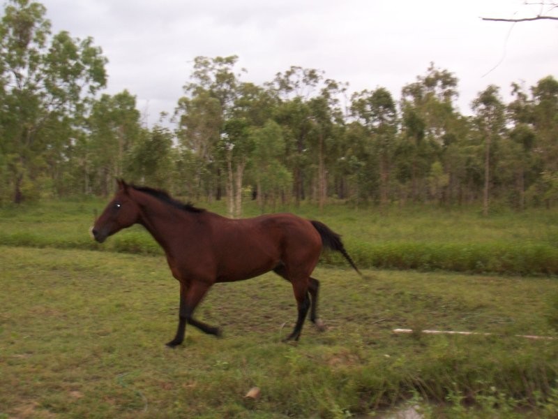 2 Hervey Range Road, Bohle Plains QLD 4817