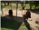 5199 Flinders Highway, Woodstock QLD 4816