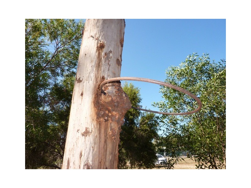 15 Bernborough Court, Kelso QLD 4815