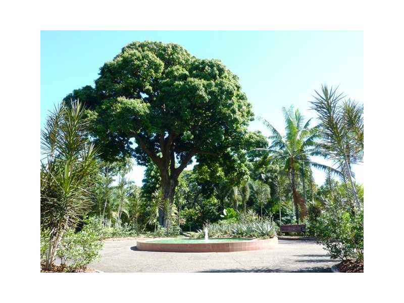 16/23 Gregory Street, North Ward QLD 4810