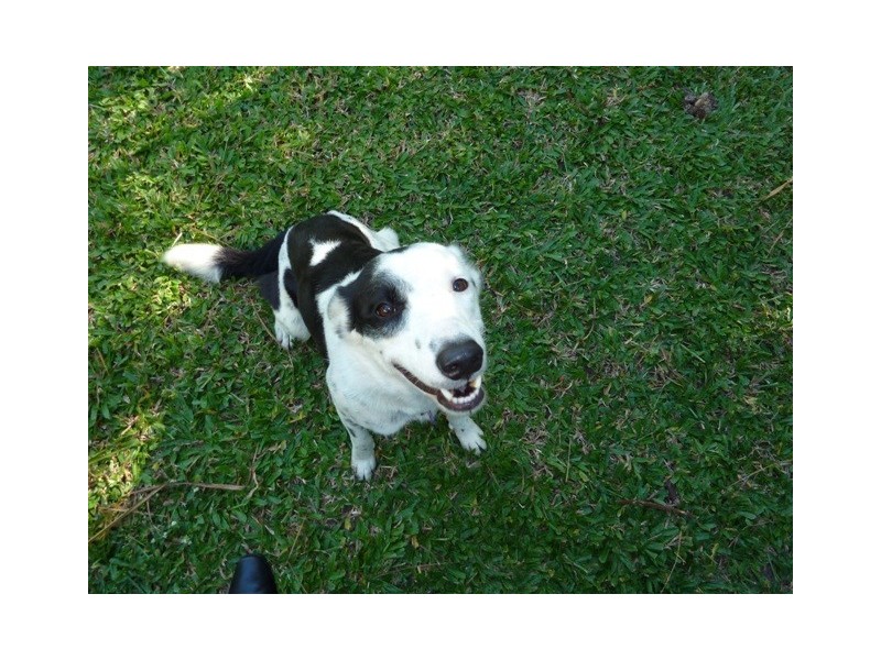 14 Miles Av, Kelso QLD 4815