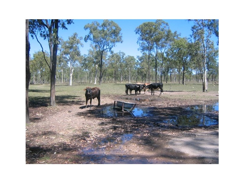 1063 Black River Rd, Black River QLD 4818