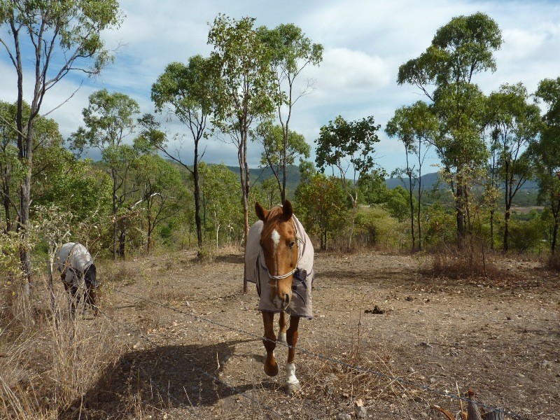 61A Alligator Creek Road, Alligator Creek QLD 4816
