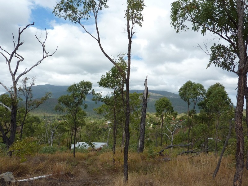 61A Alligator Creek Road, Alligator Creek QLD 4816