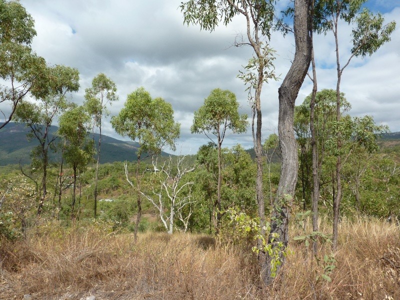 61A Alligator Creek Road, Alligator Creek QLD 4816