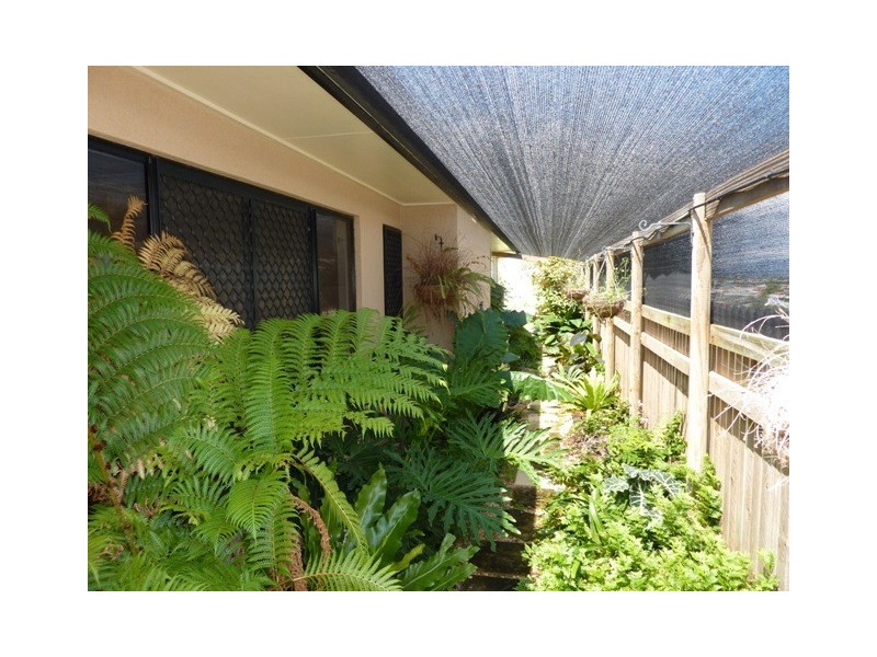 12 Knox Court, Mount Louisa QLD 4814