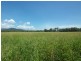 Balgal Beach QLD 4816