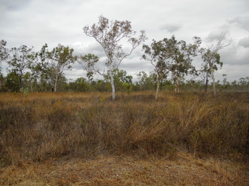 10 BlackStar Place, Black River QLD 4818