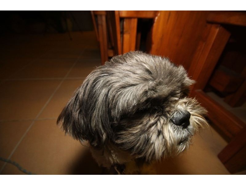 232 Kelso Drive, Kelso QLD 4815