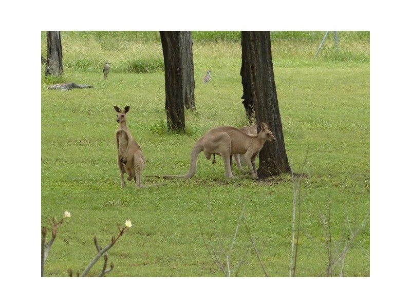 27 Cali Ct, Mount Low QLD 4818