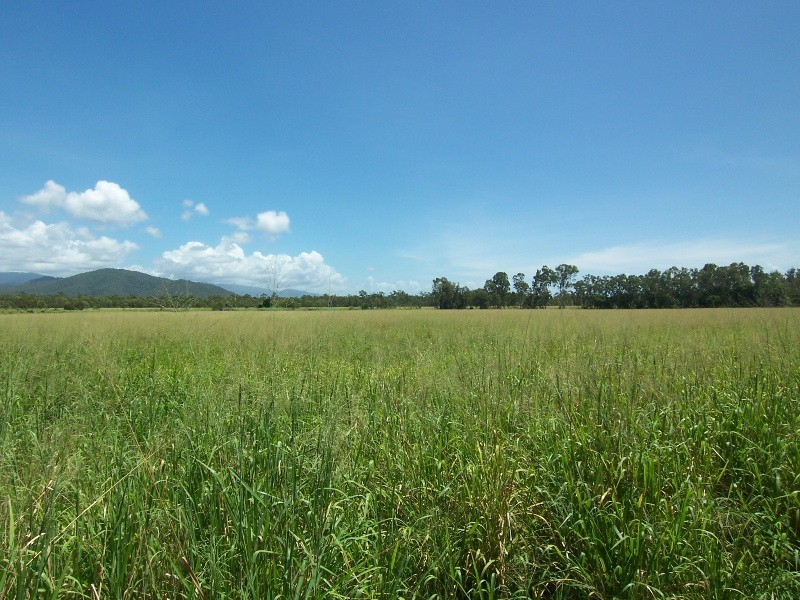 2 Gottani Road, Rollingstone QLD 4816