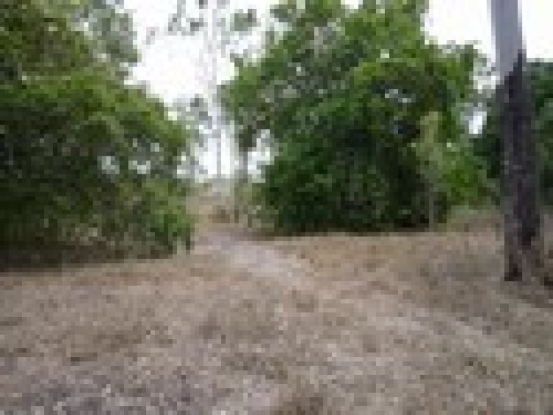126 Dingo Park Road, Woodstock QLD 4816