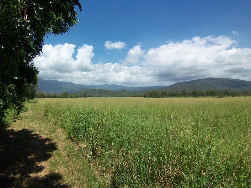 Balgal Beach QLD 4816