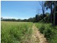 Balgal Beach QLD 4816