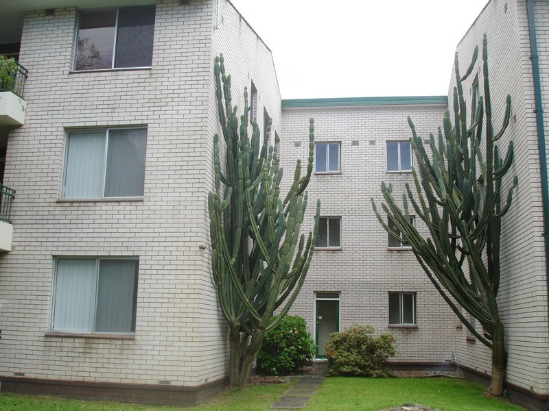 4/2 Evelyn Ave, Concord NSW 2137