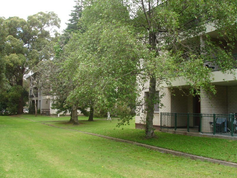 4/2 Evelyn Ave, Concord NSW 2137