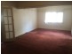 1 / 23 Croydon st, Petersham NSW 2049