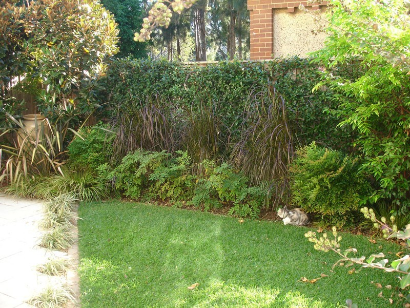 17 Myler st, Five Dock NSW 2046