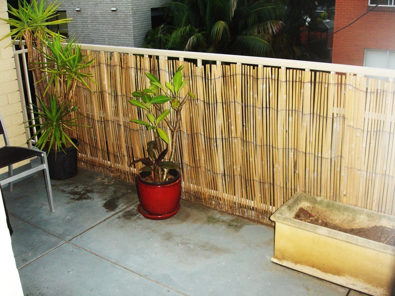 6/40 Arthur St, Balmain NSW 2041