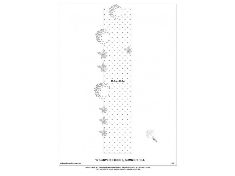 17 GOWER ST, Summer Hill NSW 2130