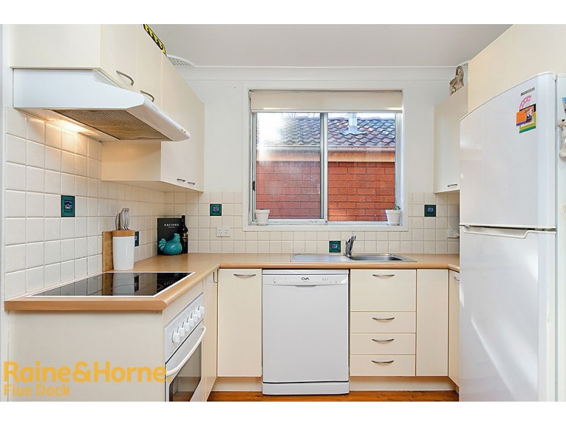 3 Beames Street, Lilyfield NSW 2040