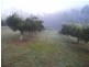 1870 Eumundi Kenilworth Road, Eumundi QLD 4562