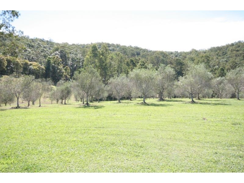 1870 Eumundi Kenilworth Road, Eumundi QLD 4562
