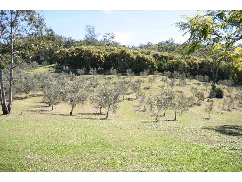 1870 Eumundi Kenilworth Road, Eumundi QLD 4562