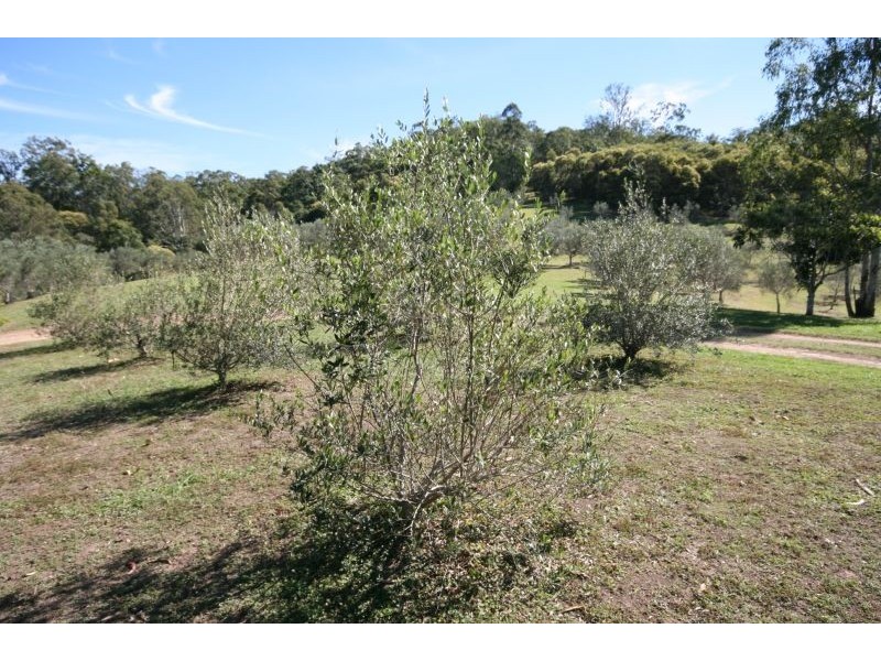 1870 Eumundi Kenilworth Road, Eumundi QLD 4562