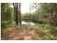 Cooroy QLD 4563