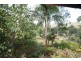 22 Browns Road, Eumundi QLD 4562